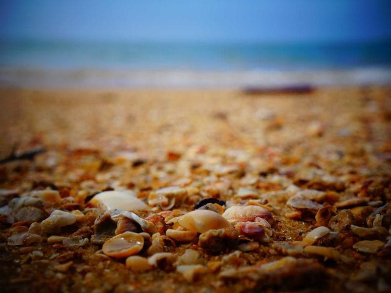Hand Inc cafetería #1474