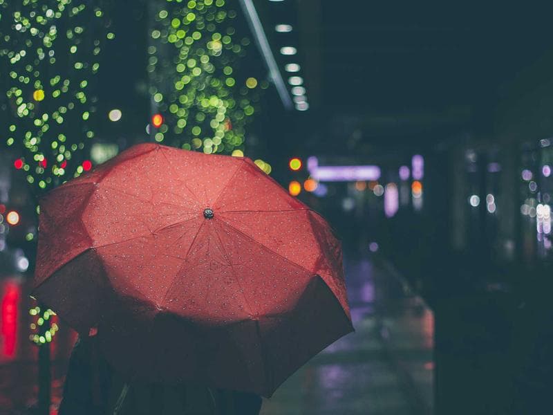 Schaefer Inc cafetería #3125