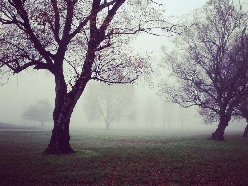 Mohr LLC cafetería #782